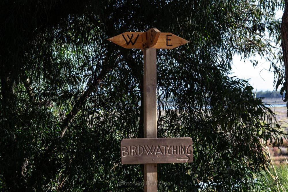 Camping Village S'Ena Arrubia Arborea Exterior foto